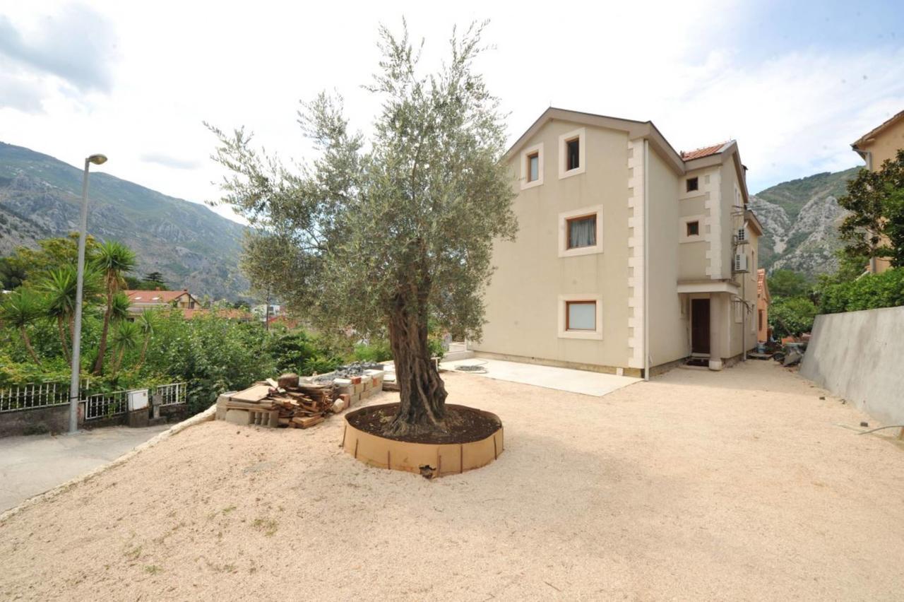 Apartments Olive Kotor Exterior foto